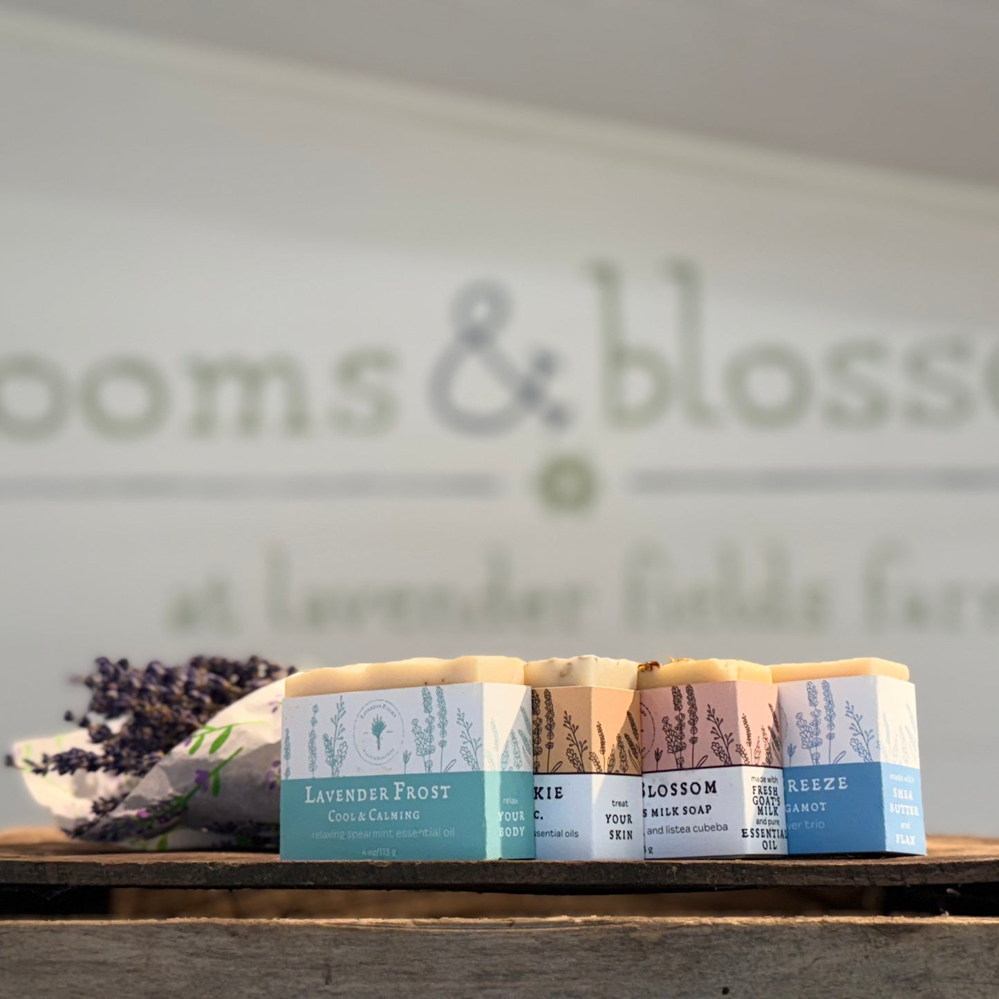 Artisan Soap Variety Bundle