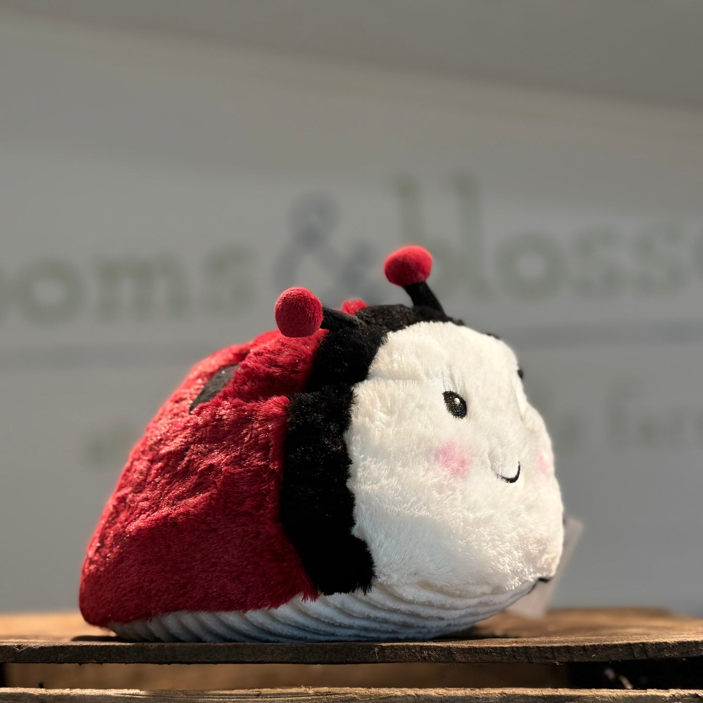 Lavender Stuffed Animal Warmies